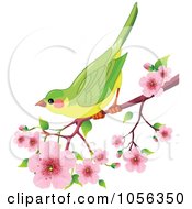 Royalty Free Vector Clip Art Illustration Of A Green Bird Perched On A Branch Of Cherry Blossoms