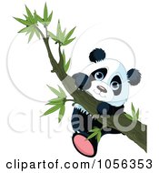 Poster, Art Print Of Cute Baby Panda Hanging From A Tree Branch