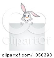 Poster, Art Print Of Gray Rabbit Looking Over A Blank Sign Board