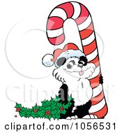Royalty Free Vector Clip Art Illustration Of A Cute Christmas Panda With Holly And A Giant Candy Cane by Johnny Sajem