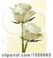 Poster, Art Print Of Two Ivory Roses On Beige