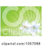 Poster, Art Print Of Light Blue Lilies Over Green Rays