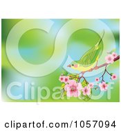Poster, Art Print Of Pretty Bird On A Cherry Blossom Branch Over Green And Blue