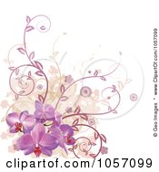 Corner Design Element Of Purple Orchid Flowers Vines And Grunge