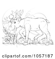 Royalty Free Clip Art Illustration Of A Coloring Page Outline Of A Moose by Alex Bannykh