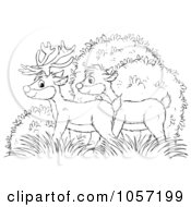 Royalty Free Clip Art Illustration Of A Coloring Page Outline Of Deer