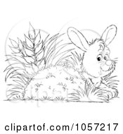 Royalty Free Clip Art Illustration Of A Coloring Page Outline Of A Rabbit Hiding
