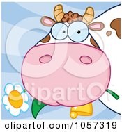 Poster, Art Print Of Cow Eating A Flower On Blue