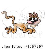 Poster, Art Print Of Scared Cat Running