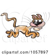 Scared Cat Running