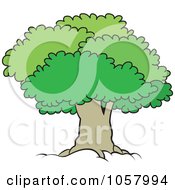 Royalty Free Vector Clip Art Illustration Of A Mature Tree With A Lush Canopy 2