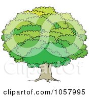 Poster, Art Print Of Mature Tree With A Lush Canopy - 1