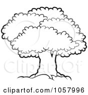 Royalty Free Vector Clip Art Illustration Of An Outlined Mature Tree With A Lush Canopy