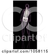 Royalty Free CGI Clip Art Illustration Of An Xray Of A Womans Spine
