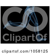 Royalty Free CGI Clip Art Illustration Of A 3d Skeleton Xray Of Legs Running
