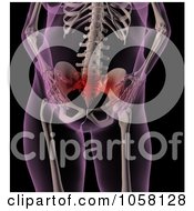 Royalty Free CGI Clip Art Illustration Of An Overweight Female Xray Showing Stomach Pain
