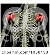 Royalty Free CGI Clip Art Illustration Of A 3d Female Skeleton With Highlighted Shoulders Depicting Pain