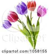 Royalty Free Vector Clip Art Illustration Of Spring Tulips In Purple Pink And Red by elaineitalia