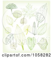 Poster, Art Print Of Digital Collage Of Leaves
