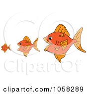 Poster, Art Print Of Three Gold Fish The Bigger Ones Eating The Smaller Ones