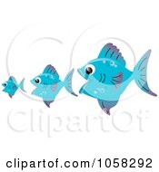 Poster, Art Print Of Three Blue Fish The Bigger Ones Eating The Smaller Ones