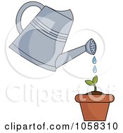 Watering Can Over A Seedling Plant