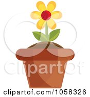 Poster, Art Print Of Yellow Potted Daisy Plant - 2
