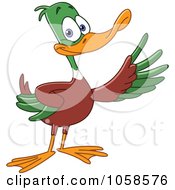 Poster, Art Print Of Presenting Mallard Duck