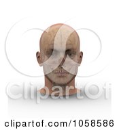 Poster, Art Print Of 3d Skull And Brain Showing Through Transparent Skin On A Male Head - 1