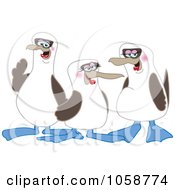 Three Blue Footed Boobie Birds