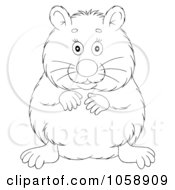 Poster, Art Print Of Outlined Chubby Hamster