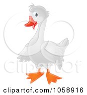 Poster, Art Print Of White Goose