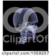 Royalty Free CGI Clip Art Illustration Of A 3d Xray Skull Wearing A Headset