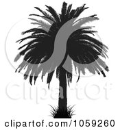 Poster, Art Print Of Silhouetted Black And White Tropical Palm Tree - 2