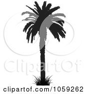 Royalty Free Vector Clip Art Illustration Of A Silhouetted Black And White Tropical Palm Tree 1