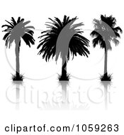 Poster, Art Print Of Digital Collage Of Silhouetted Black And White Tropical Palm Trees And Reflections