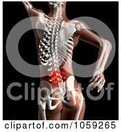 Royalty Free CGI Clip Art Illustration Of A 3d Female Skeleton With Highlighted Lower Spinal Back Pain