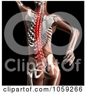 Royalty Free CGI Clip Art Illustration Of A 3d Female Skeleton With Highlighted Spinal Cord Pain