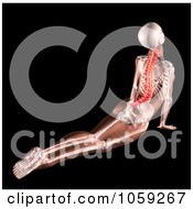 Royalty Free CGI Clip Art Illustration Of A 3d Female Skeleton Stretching With A Highlighted Spine