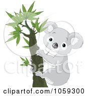 Poster, Art Print Of Cute Koala In A Tree