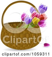 Poster, Art Print Of Wicker Basket Of Spring Tulips