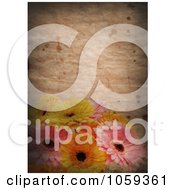 Poster, Art Print Of Grungy Background With Stained Paper And Daisies