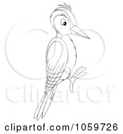 Coloring Page Outline Of A Woodpecker