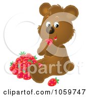 Poster, Art Print Of Bear Eating Strawberries