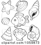Poster, Art Print Of Digital Collage Of Coloring Page Outlines Of Shells And A Fish