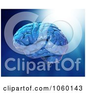 Royalty Free CGI Clip Art Illustration Of A 3d Blue Brain On Blue