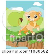 Poster, Art Print Of Proud Lion Cub Walking Around A Pond