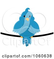 Poster, Art Print Of Chubby Blue Bird On A Wire - 2