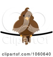 Poster, Art Print Of Chubby Brown Bird On A Wire