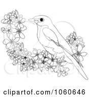 Poster, Art Print Of Coloring Page Outline Of A Bird And Blossoms
